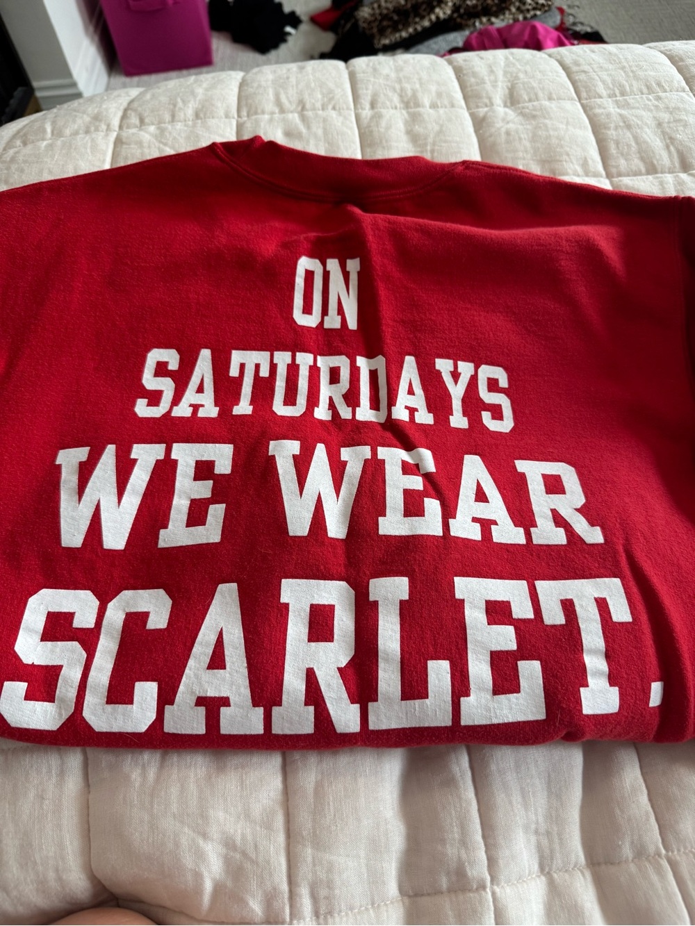 Script 'Ohio' Graphic Sweatshirt - Picture 3 of 3
